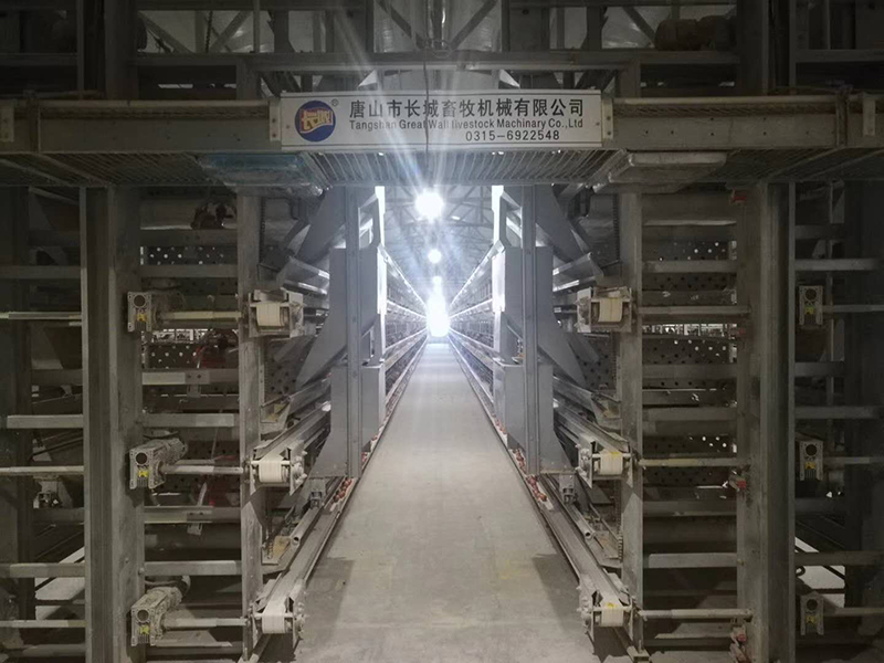蛋雞設備自動喂料機的保養(yǎng)方法配料順序